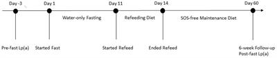 Reduction in Lp(a) after a medically supervised, prolonged water-only fast followed by a whole-plant-food diet free of added salt, oil, and sugar: a case report